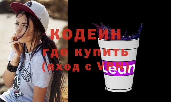 хмурый Михайловск