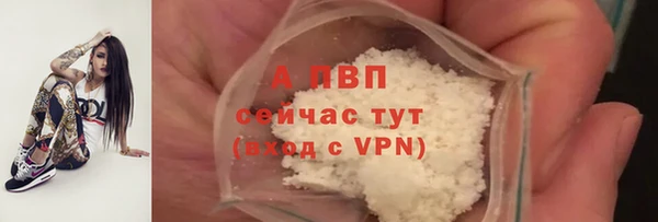 хмурый Михайловск