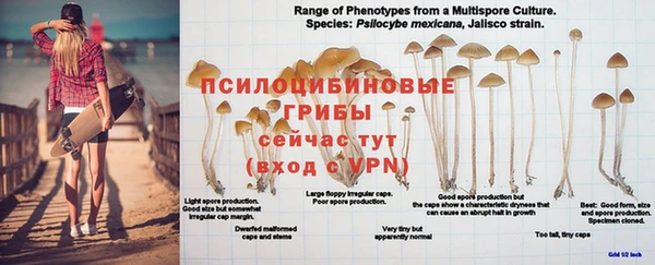 хмурый Михайловск