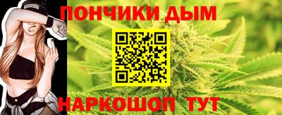 индика Жуковский