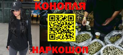 индика Жуковский