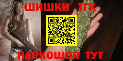 индика Жуковский